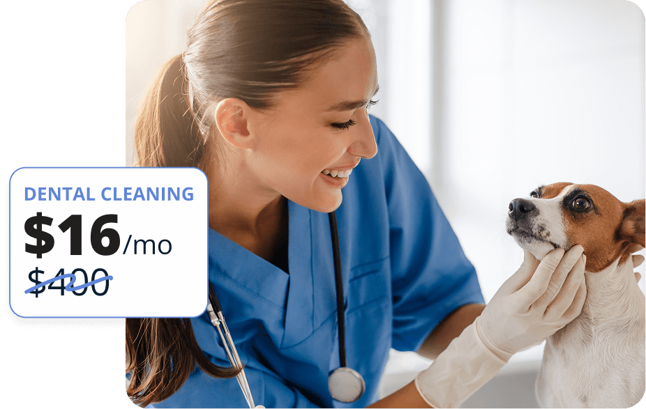 cherry payment image